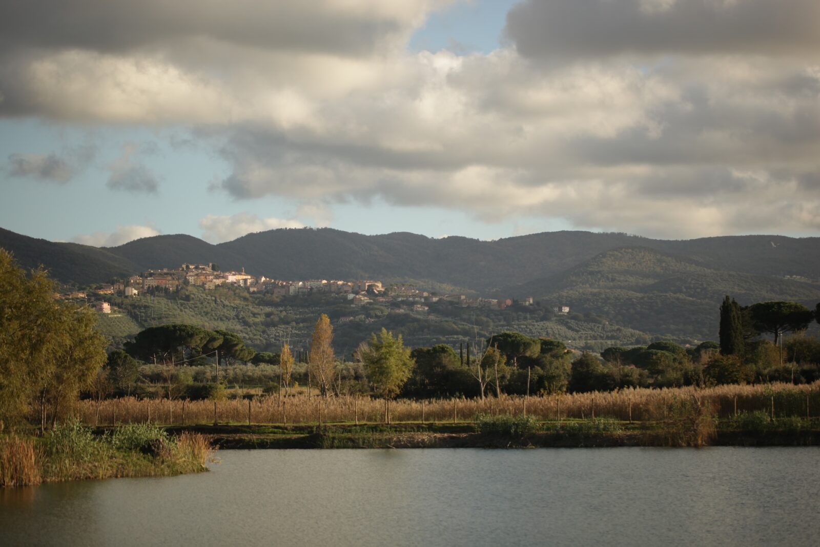 I Greppi Bolgheri - The Estate 00003 Image