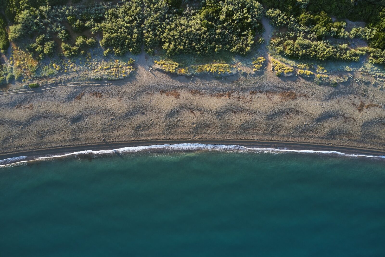 I Greppi Bolgheri - The Territory - Tuscan Coast 1 00001 Image
