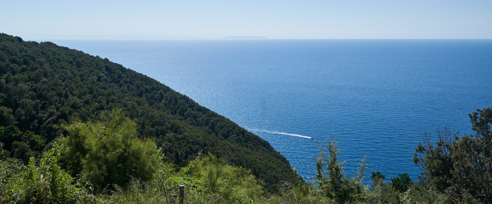 I Greppi Bolgheri - The Territory - Tuscan Coast Image